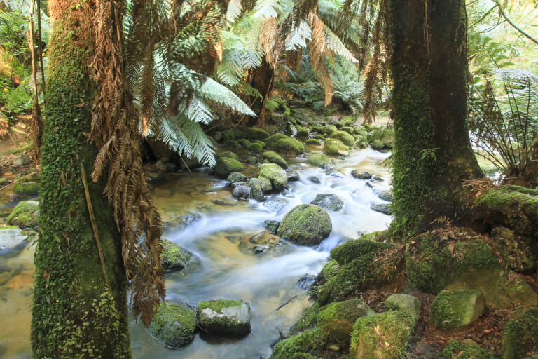 4 X 4 Australia Explore 2022 Tasmania Hinterland Cool Creeks