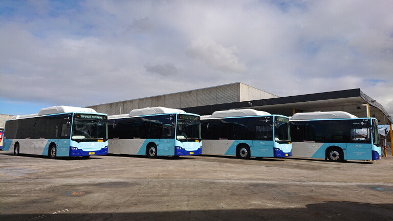 Sydney electric buses