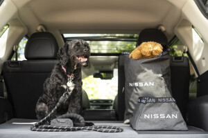 Nissan Dog Pack 6