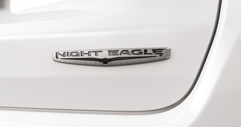 Night Eagle Badge