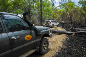 Coen Cape York Peninsula