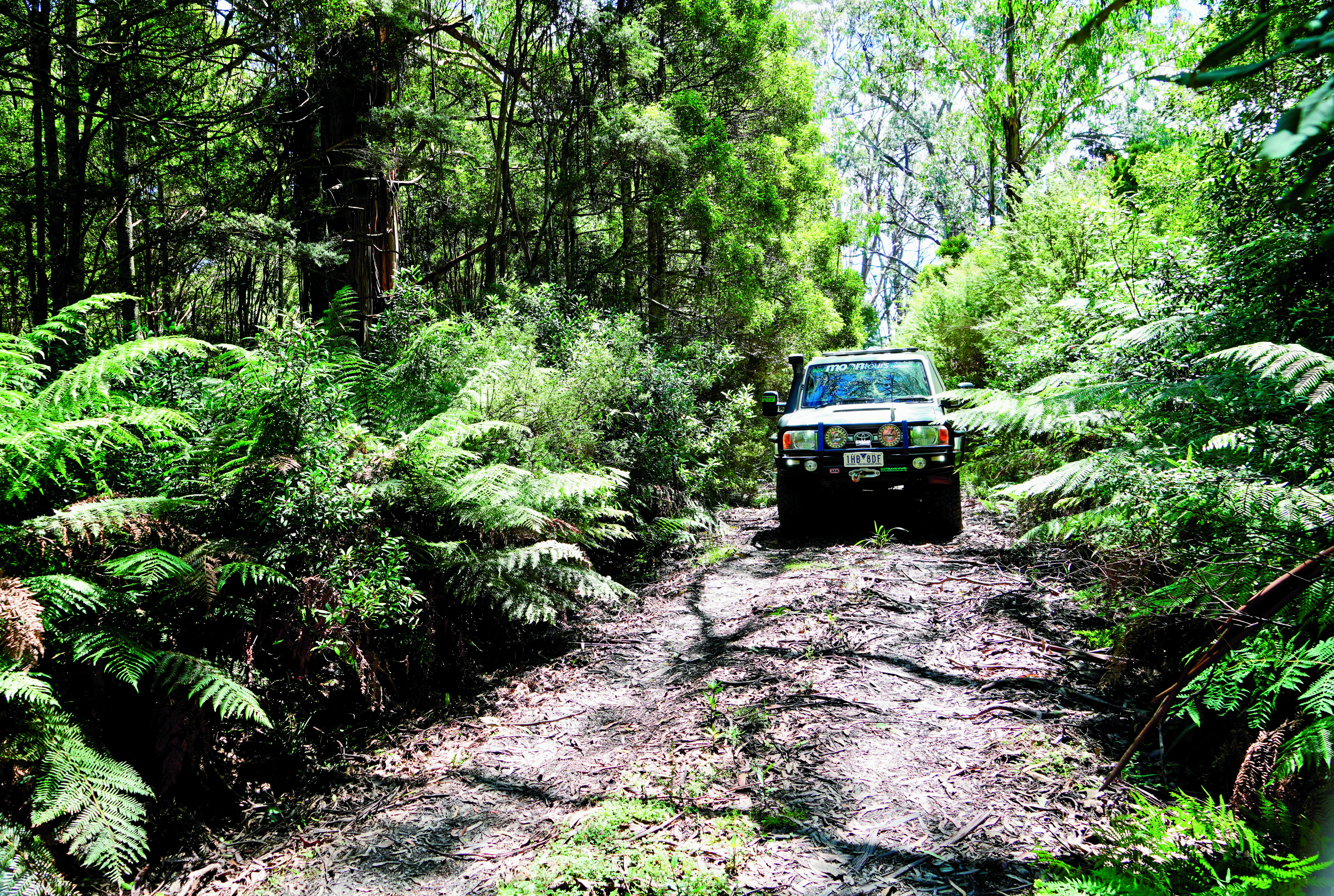 4 X 4 Australia Explore Little Used Track Into The Small Frosty Hollow Campsite
