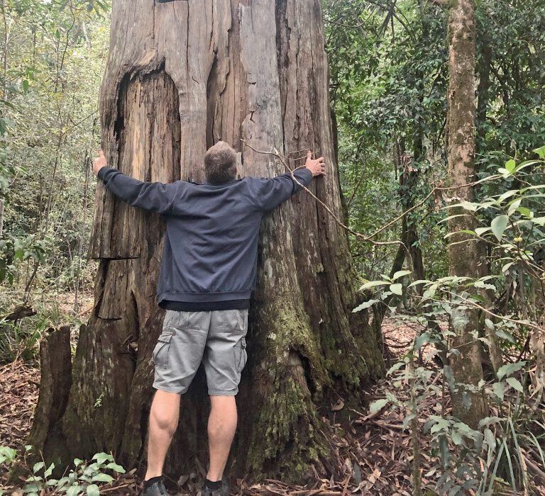 4 X 4 Australia Explore Kempsey National Park Tree Stumps 2
