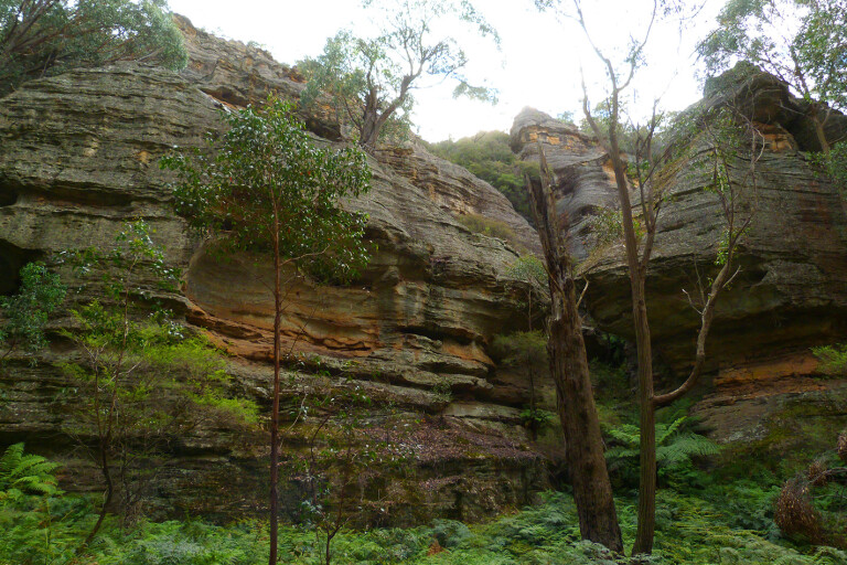 Lithgows northern forests NSW rocks
