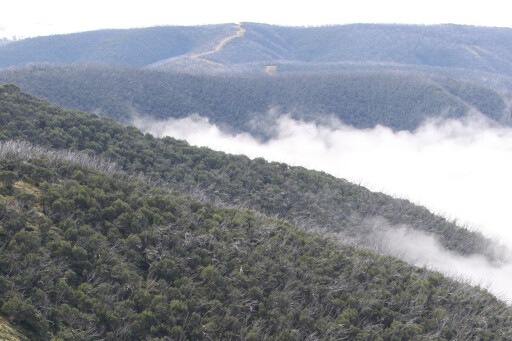 VIC high country mountains