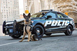 2018 Ford Police Responder Hybrid Sedan dog_main