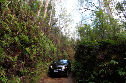 Jeep Grand Cherokee Tasmania