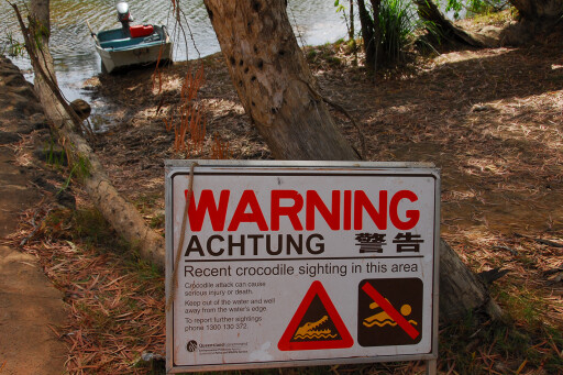 Warning Crocodile Sign