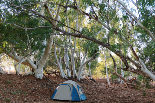 Camping on the Gascoyne River