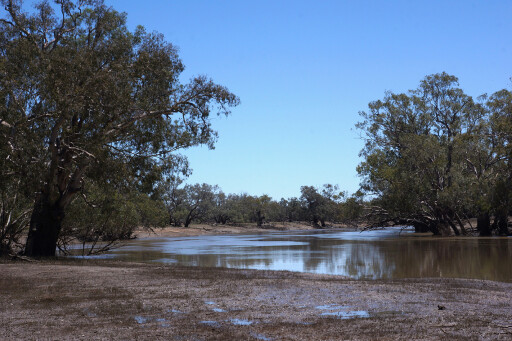 Gundabooka Darling River NSW.jpg