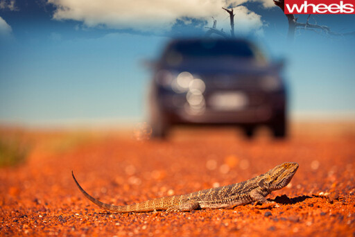 2011-Ford -Territory -with -gecko