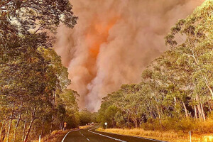 How to survive a bushfire