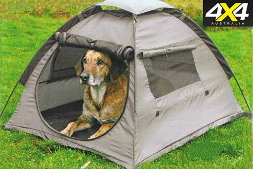 Dog in tent