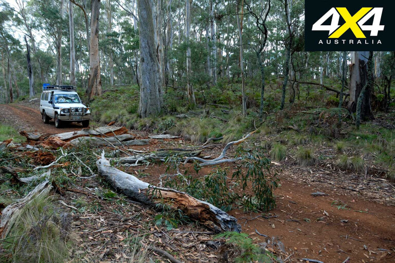 4 X 4 Trip To Coolah Tops National Park Nsw Foresty Track Jpg