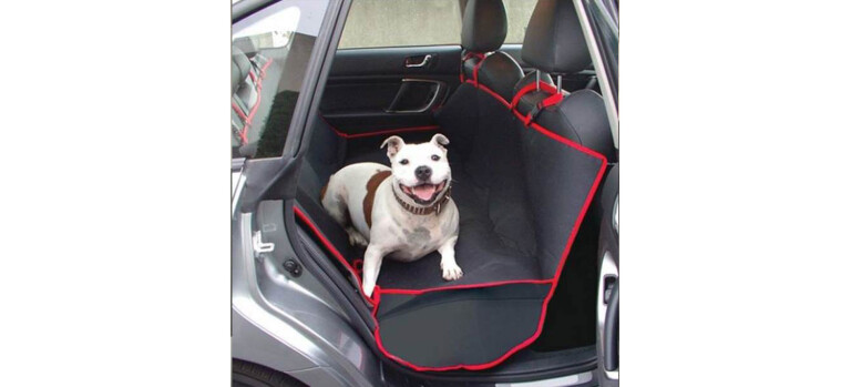 Dog accessories for your car