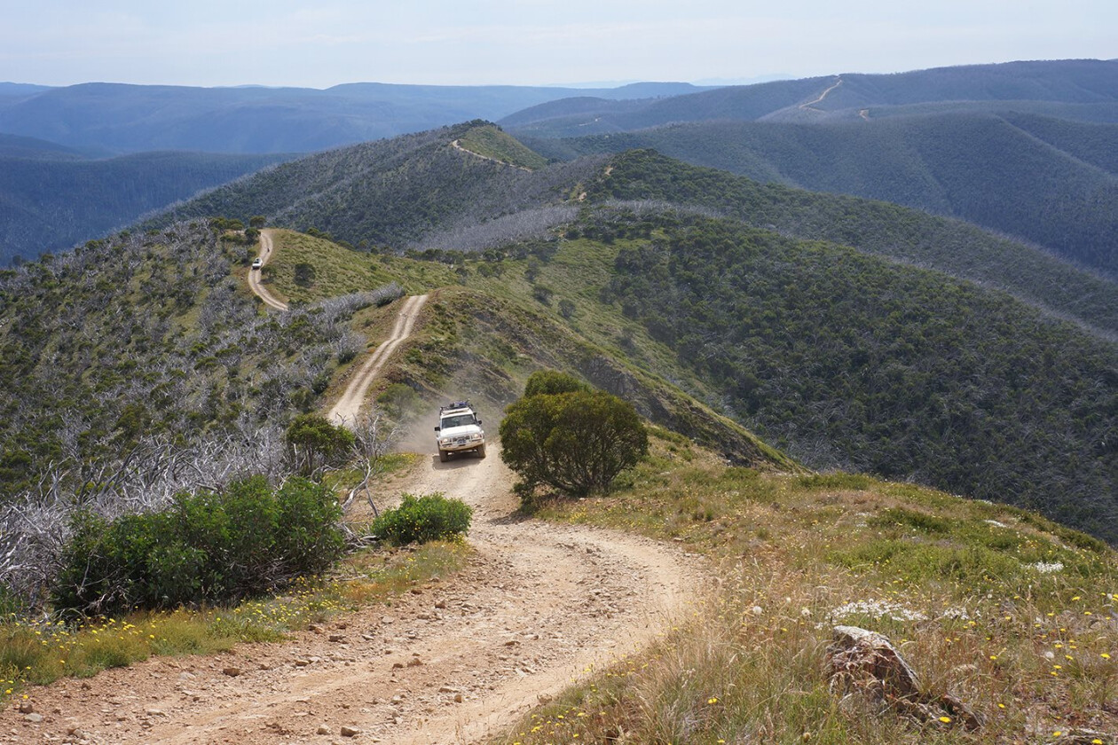 tag along tours victorian high country
