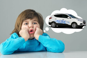 Boring hydrogen fuel cell vehicles