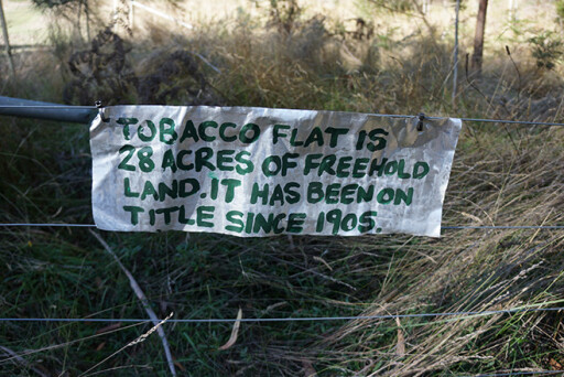 tobacco flat