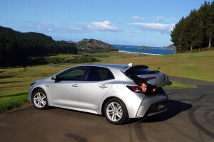 2020 Toyota Corolla Hybrid New Zealand
