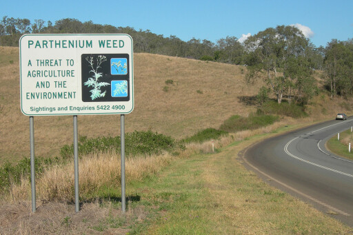 QLD argriculture warning road signs