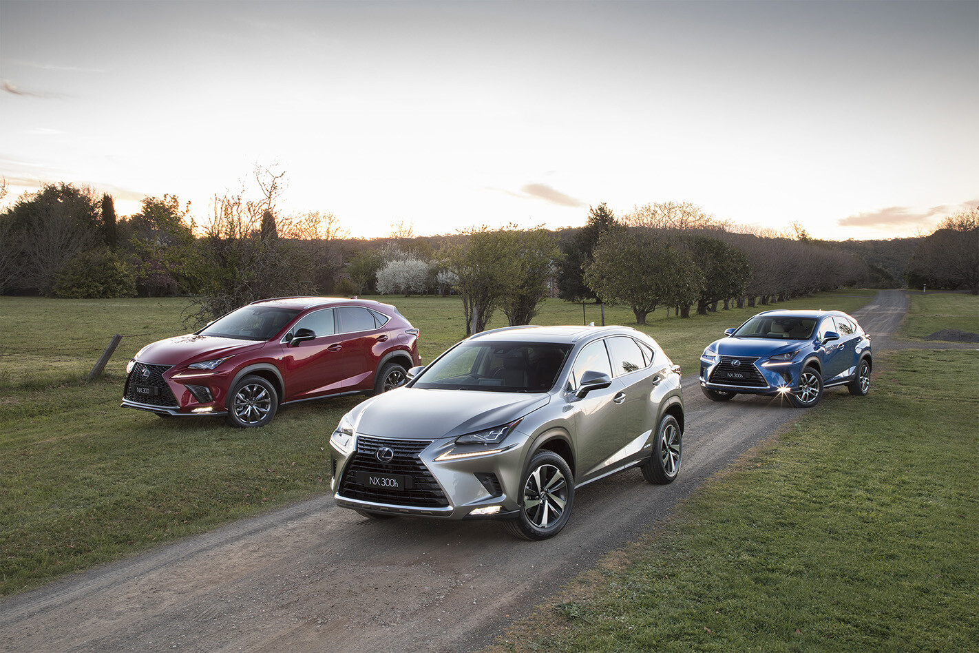 Lexus Nx Review Price Features