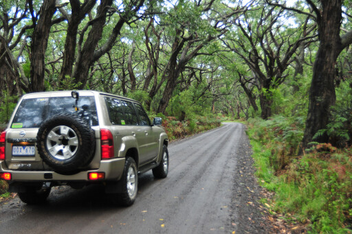 Cape-Otway,-VIC-driving-through-the-National-Park.jpg