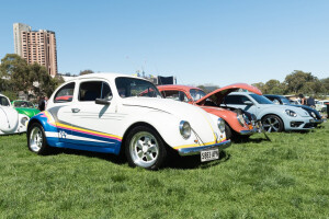 VW Beetle Volksfest