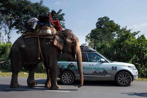 Range-Rover-Hybrid---India-to-Nepal-drive-elephant