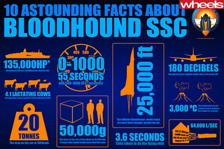 Bloodhound -SSC-facts