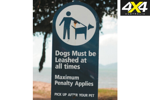 Dogs on leash
