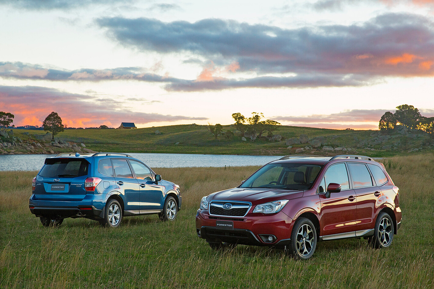 Субару форестер отзывы. Subaru Forester 2015. Субару Форестер 2015. Субару Форестер 4 поколения. Субару Форестер 5 поколения 2015.