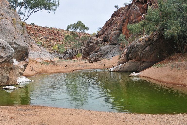 Footloose: Outback waterholes