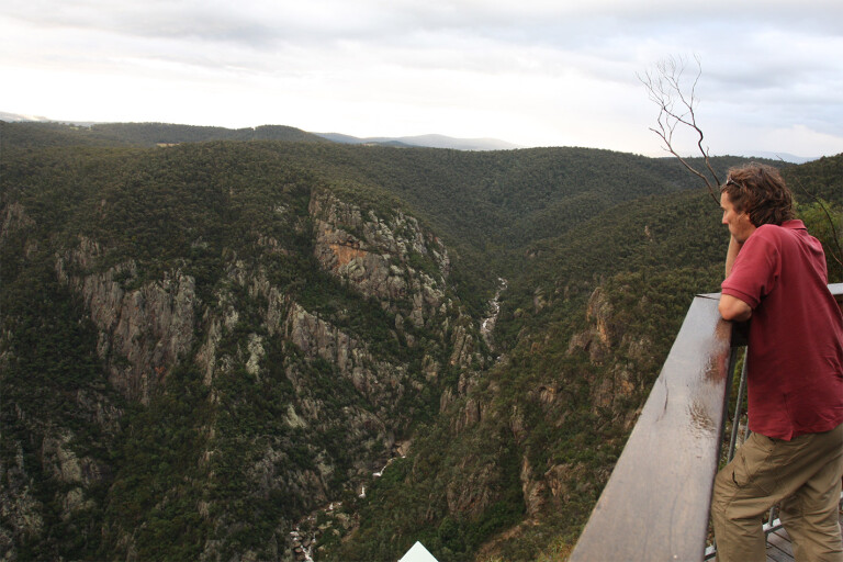 The spectacular Little River Gorge lookout
