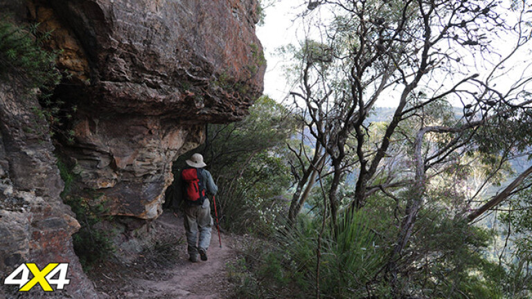 A walker on The Golden Stairs track, Blue Mountains, NSW.