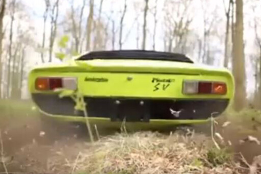 Lamborghini Miura rear