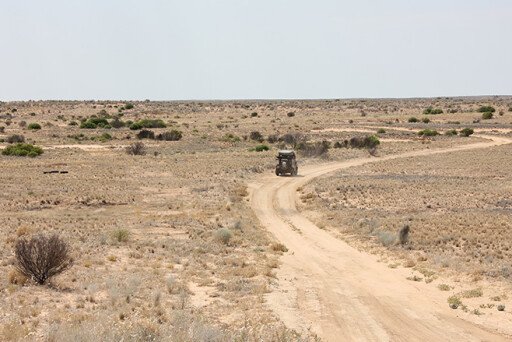 arid Strzelecki Track