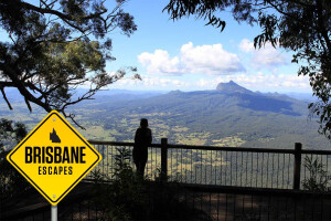 Brisbane Escapes Border Ranges National Park feature