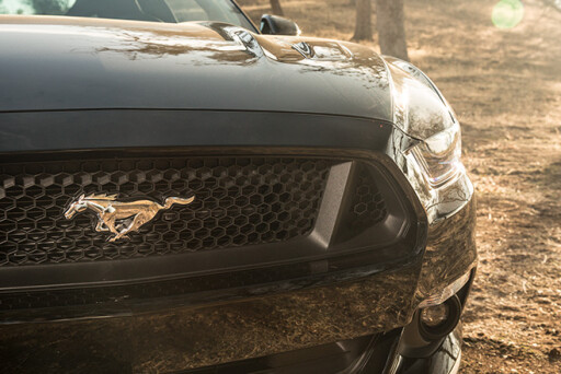 Ford -mustang -grille