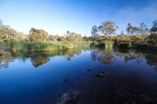 Oxley Wild Rivers National Park NSW lake.jpg