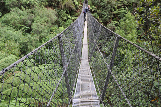 Hanging-bridge-Western-Tasmania.jpg