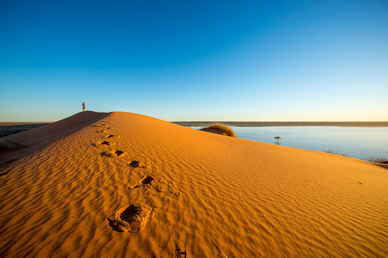 sand dune simpson desert