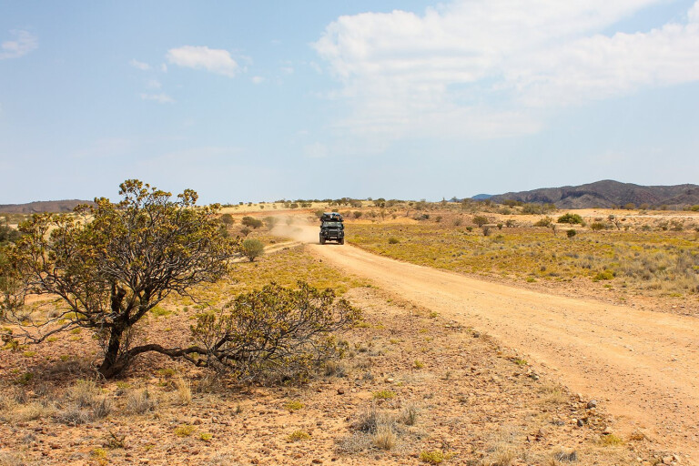 Strzelecki Track, South Australia main