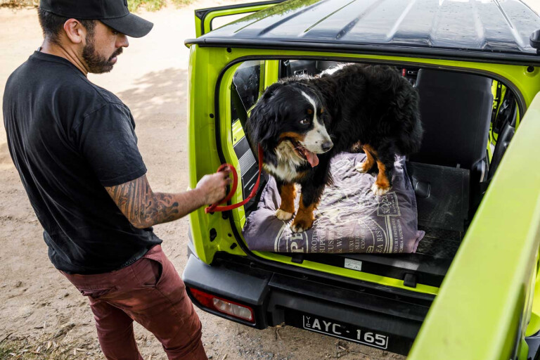 Suzuki Jimny with dog in back