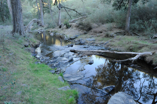 abercrombie-River-NP,-NSW-creek.jpg