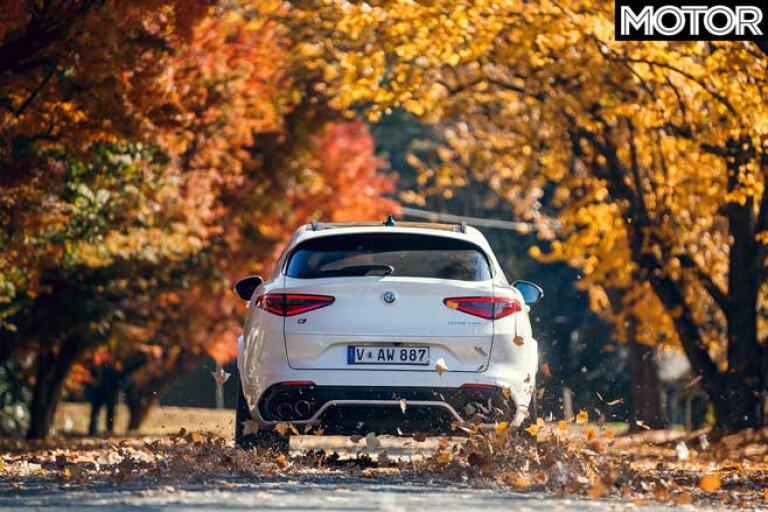 2019 Alfa Romeo Stelvio Q autumn fallen leaves covered road