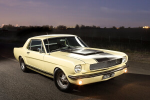 1966 MUSTANG COUPE