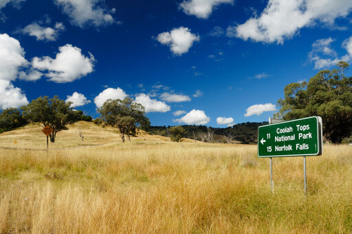 Coolah-Tops-NP-NSW-grass.jpg