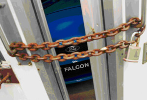 Falcon's future