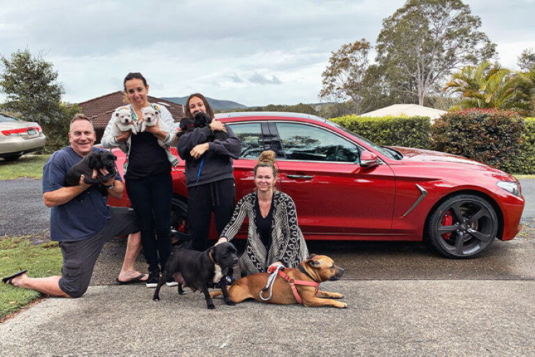 Genesis G70 family and dogs