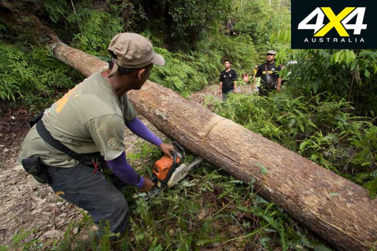 Rainforest Challenge Adventure Tour 2019 Chainsaw Track Jpg